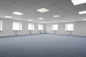 Renovations Skylights